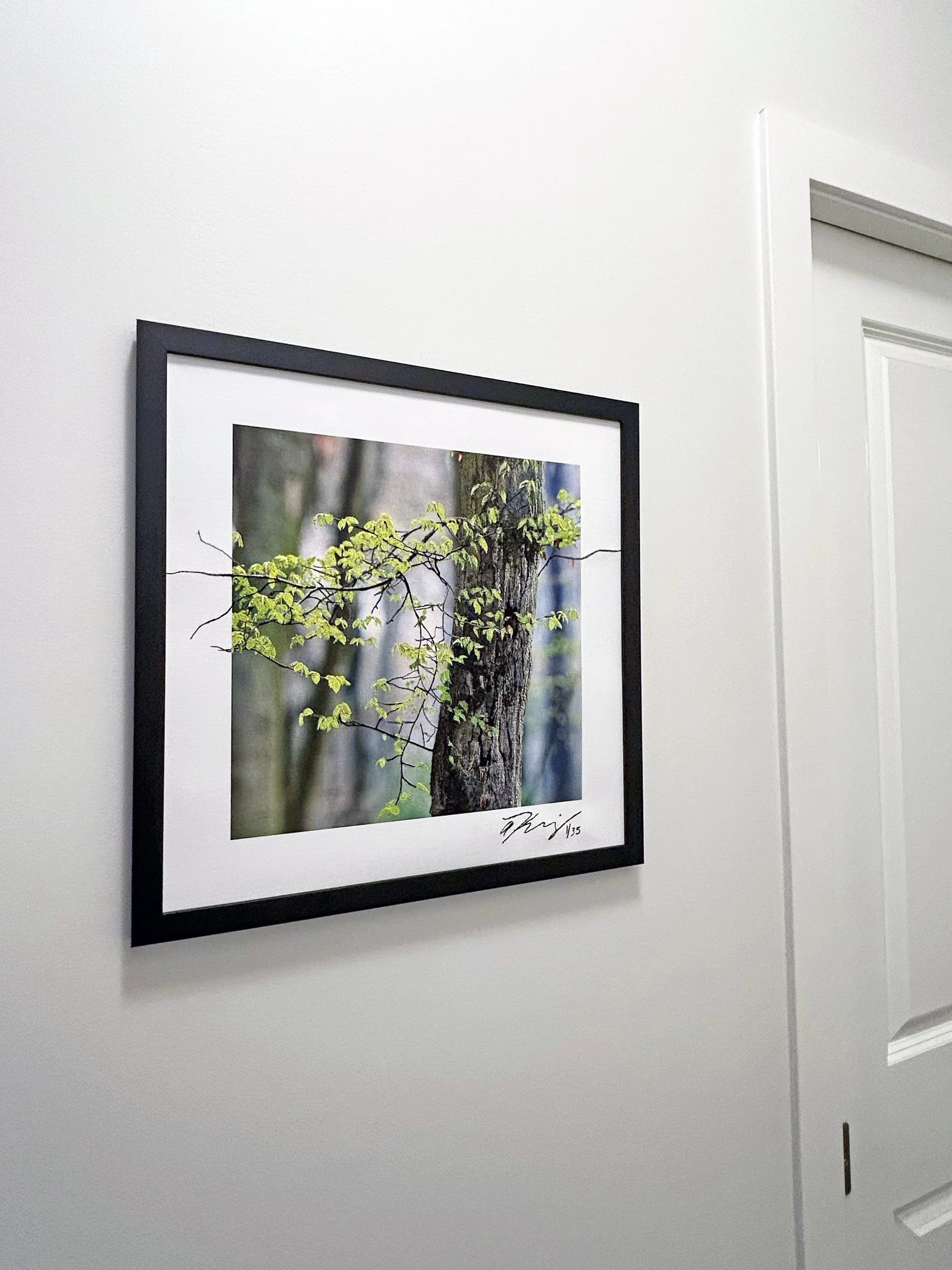 spring framed2.jpg
