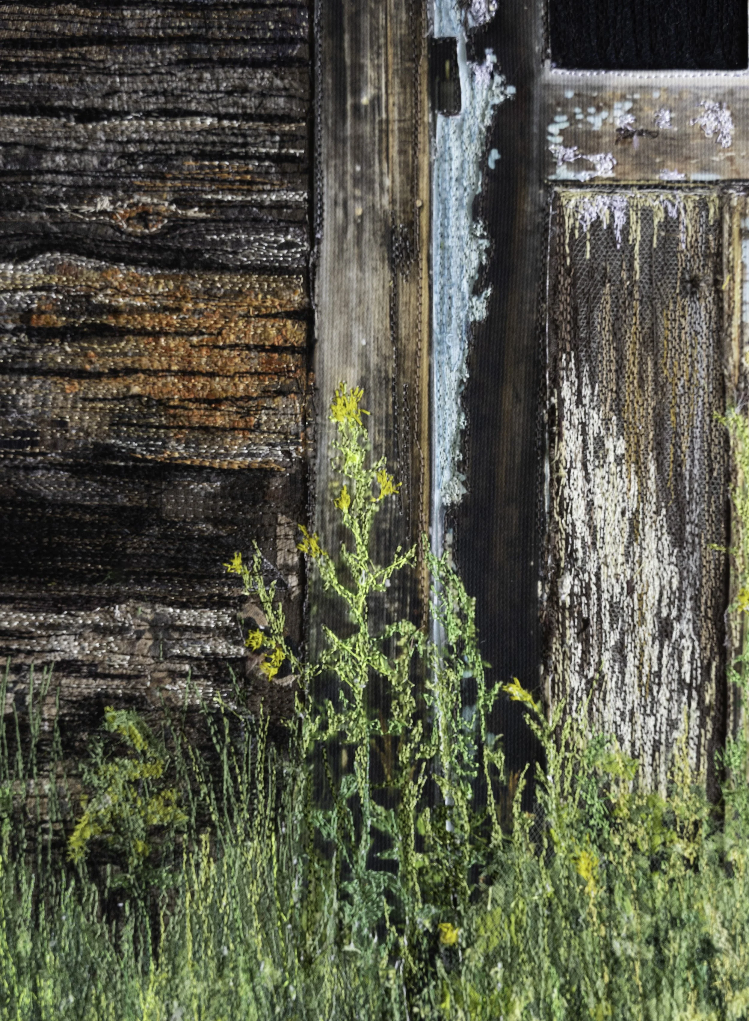 wildflower and pine closeup2.jpg