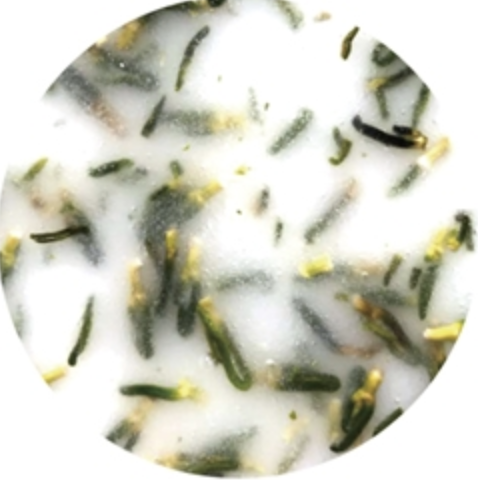 Skin Warrior Ageless Hydrojelly Mask