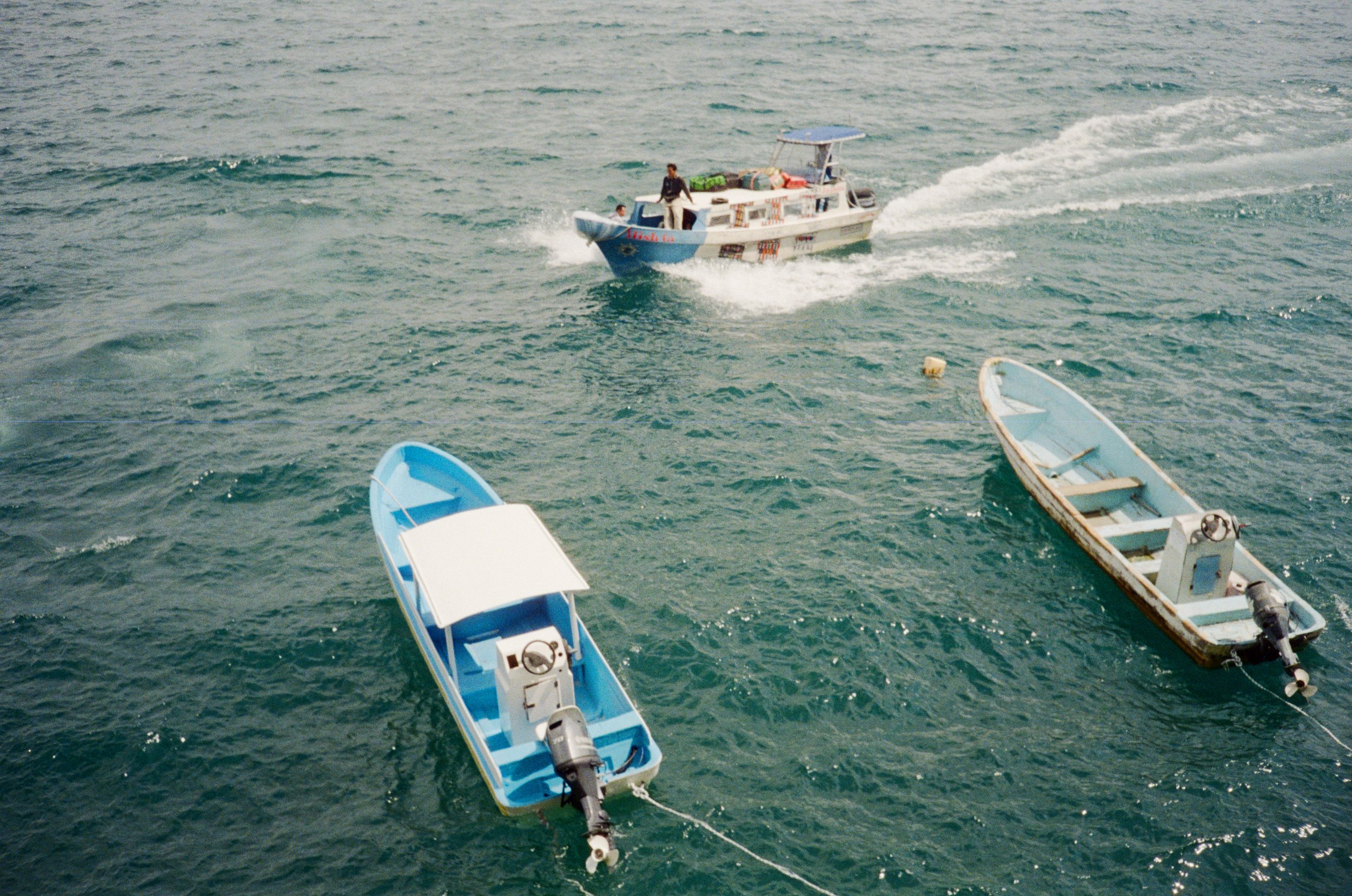 06.jpg