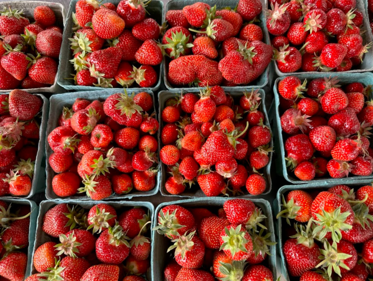 strawberries.PNG