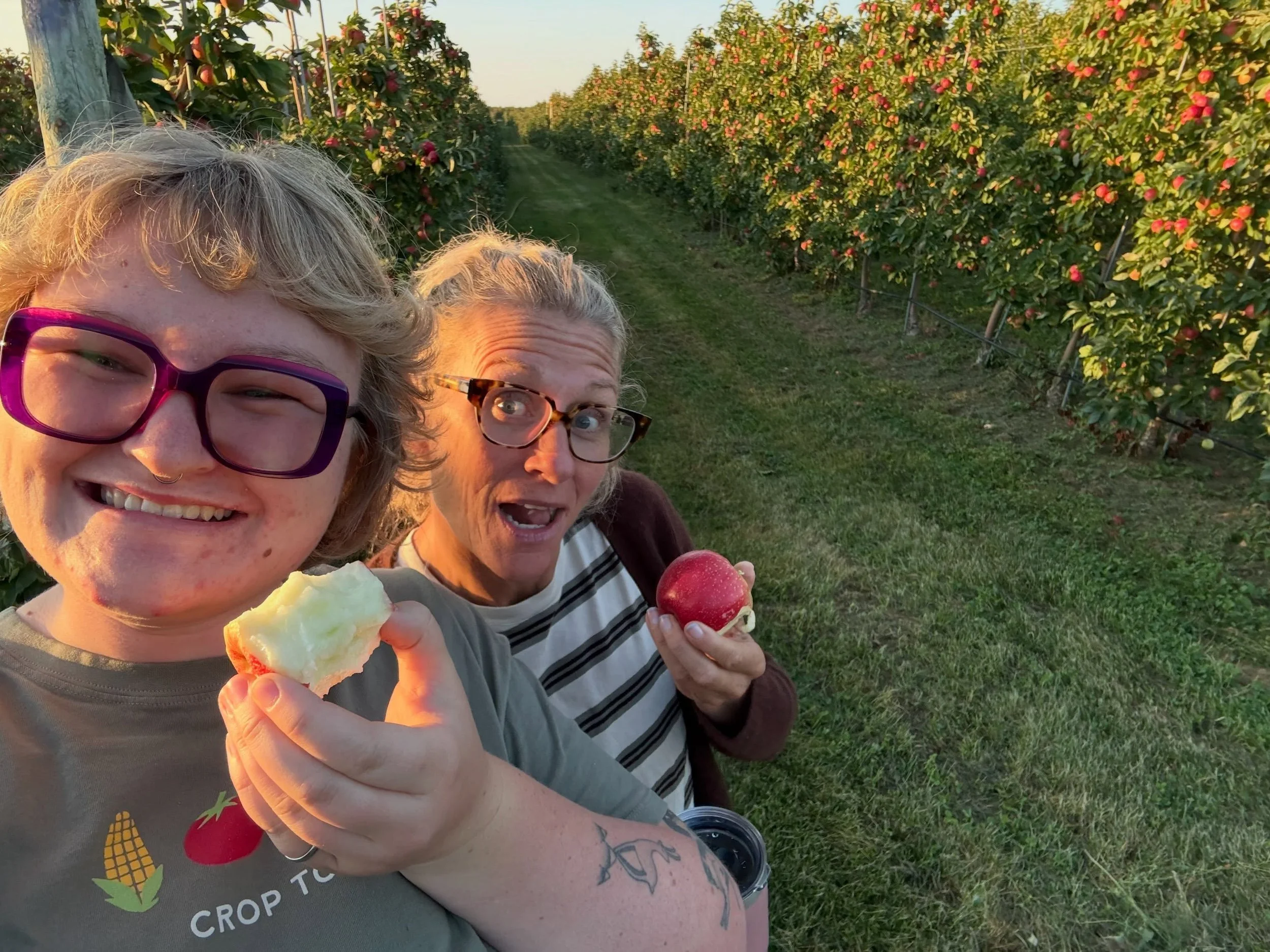 We&rsquo;re really hard at work taste testing our @sweetango_apple&rsquo;s to make sure they&rsquo;ll be ready for you soon! In the meantime, we will have peaches at the @sarahardyfarmersmarket tomorrow!!!

#organic #peach #apple #sweetango #farm