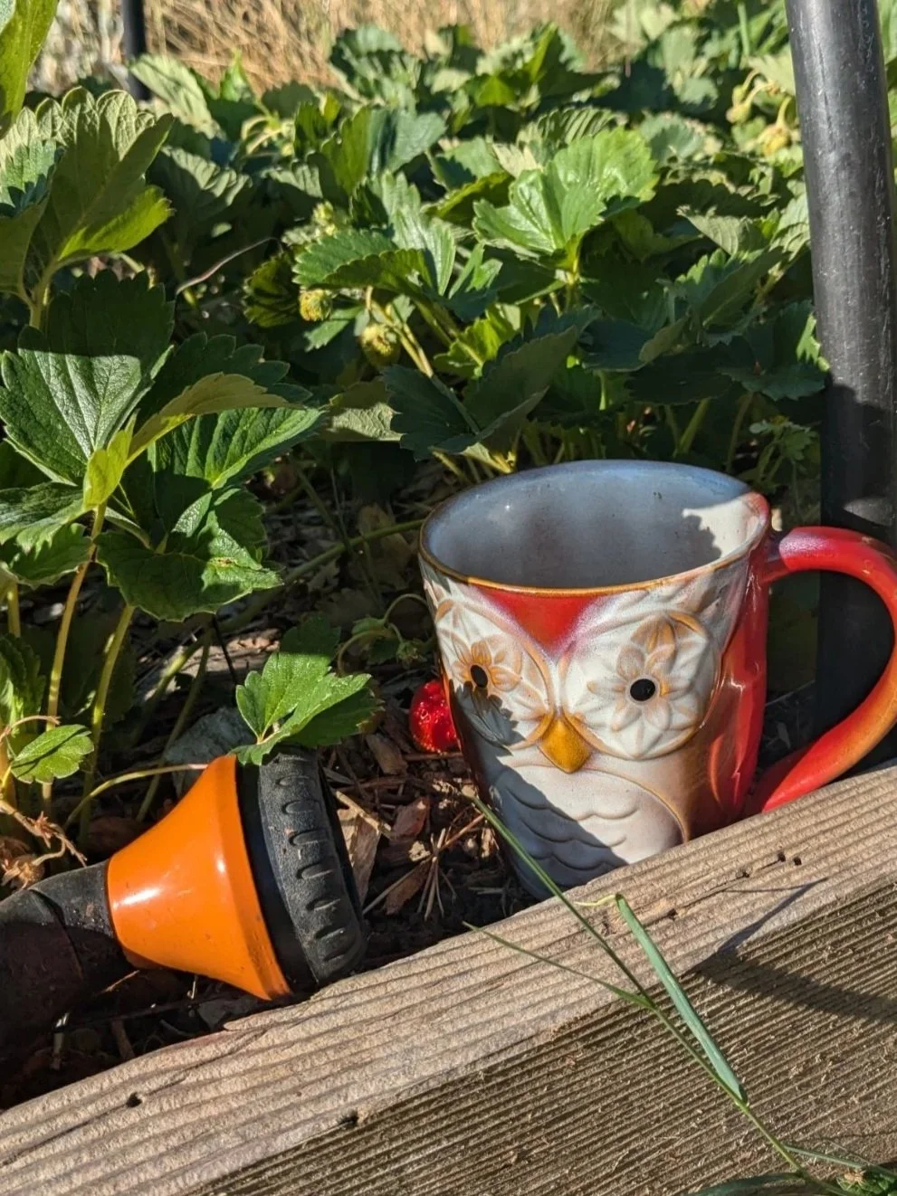 The Only Four Tools a Busy Woman Needs in Her Kitchen Garden