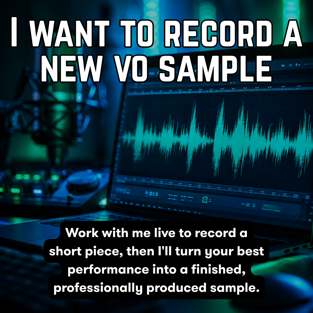 Directed Single VO Sample