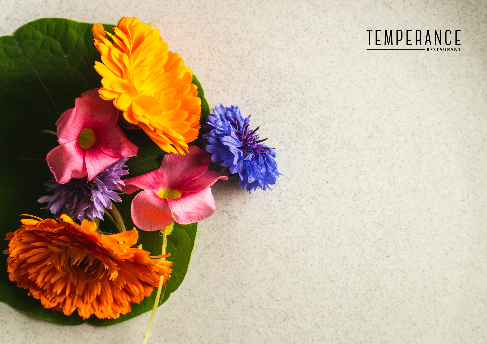 Spring Prelude dinner