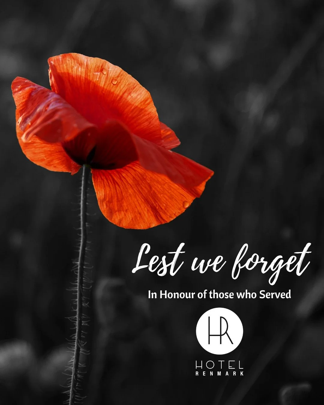 We pause to remember the courage, service and sacrifice of those who came before us. Lest we forget.

Join us for a Community Breakfast from 6:30am in the Main Bar.
Nanya Restaurant open from 8am.