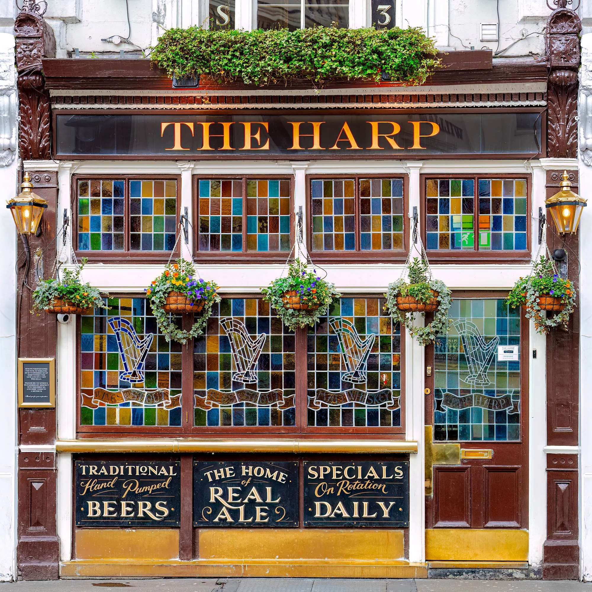 The Harp.jpg
