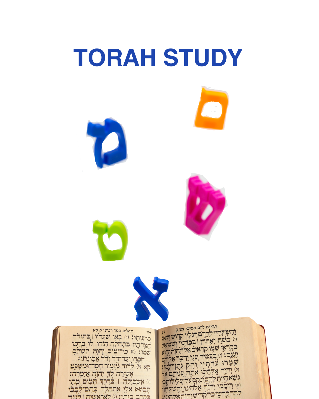English Language Torah Study 