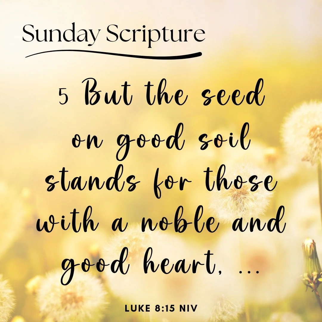 Little seeds, growing hearts, and God&rsquo;s Word taking root. 🌱 At Crosspoint Clubhouse, we love planting seeds of faith each day &mdash; watching little learners listen, grow, and shine with God&rsquo;s love. 💛

#SundayScripture #GrowingInGodsLo