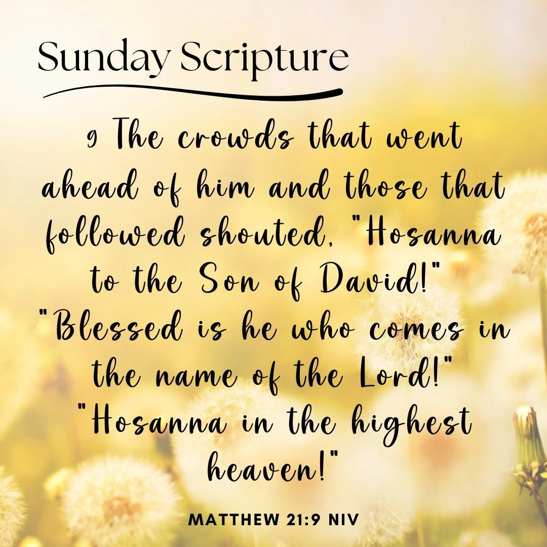 Tiny hands waving palms and joyful voices shouting Hosanna! 🌿 Today we celebrate Palm Sunday and the King who came to bring love, peace, and hope to the world. ✝️

#ScriptureSunday #PalmSunday #EarlyLearners #McKinneyPreschool #ChristianPreschool #G