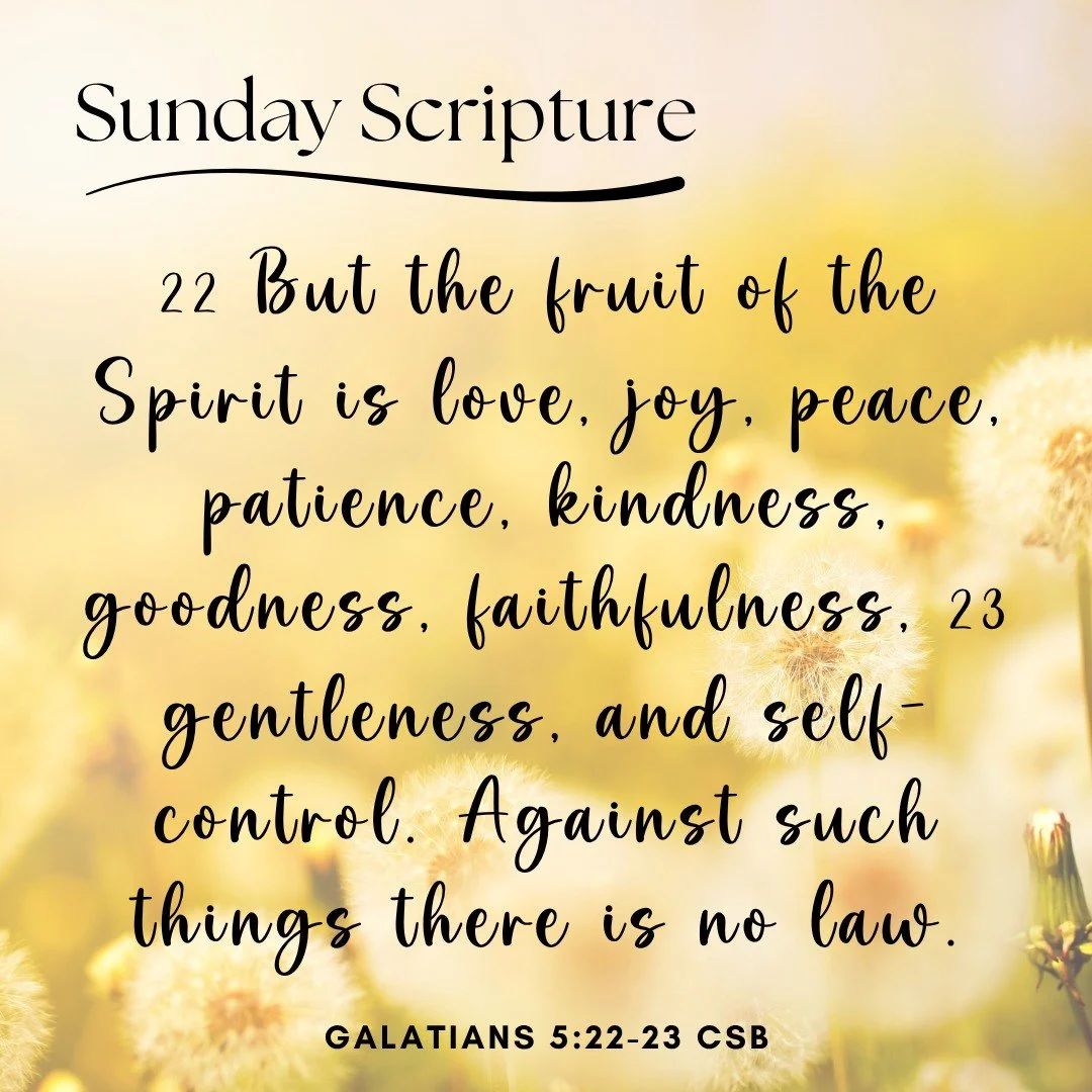 Kind hearts. Patient hands. Joyful spirits. 🌿 That&rsquo;s the Fruit of the Spirit growing in our preschoolers! 

#SundayScripture #FaithLikeAChild #GrowingInGodsLove #LoveGrowsHere #ParentingWithPurpose #McKinneyPreschool #EarlyLearners #Crosspoint