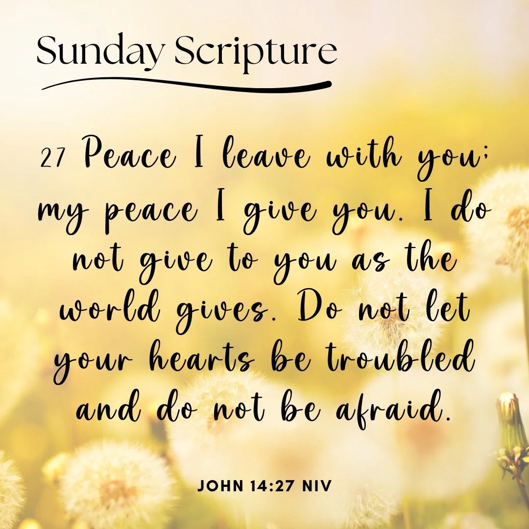 In every moment&mdash;busy mornings or quiet nights&mdash;His peace is with us. What a gift to share with our little ones. 🕊💛 

#ScriptureSunday #CrosspointClubhouse #GodsPeace #PreschoolFaith #McKinneyPreschool #FaithBasedLearning #EarlyLearners #