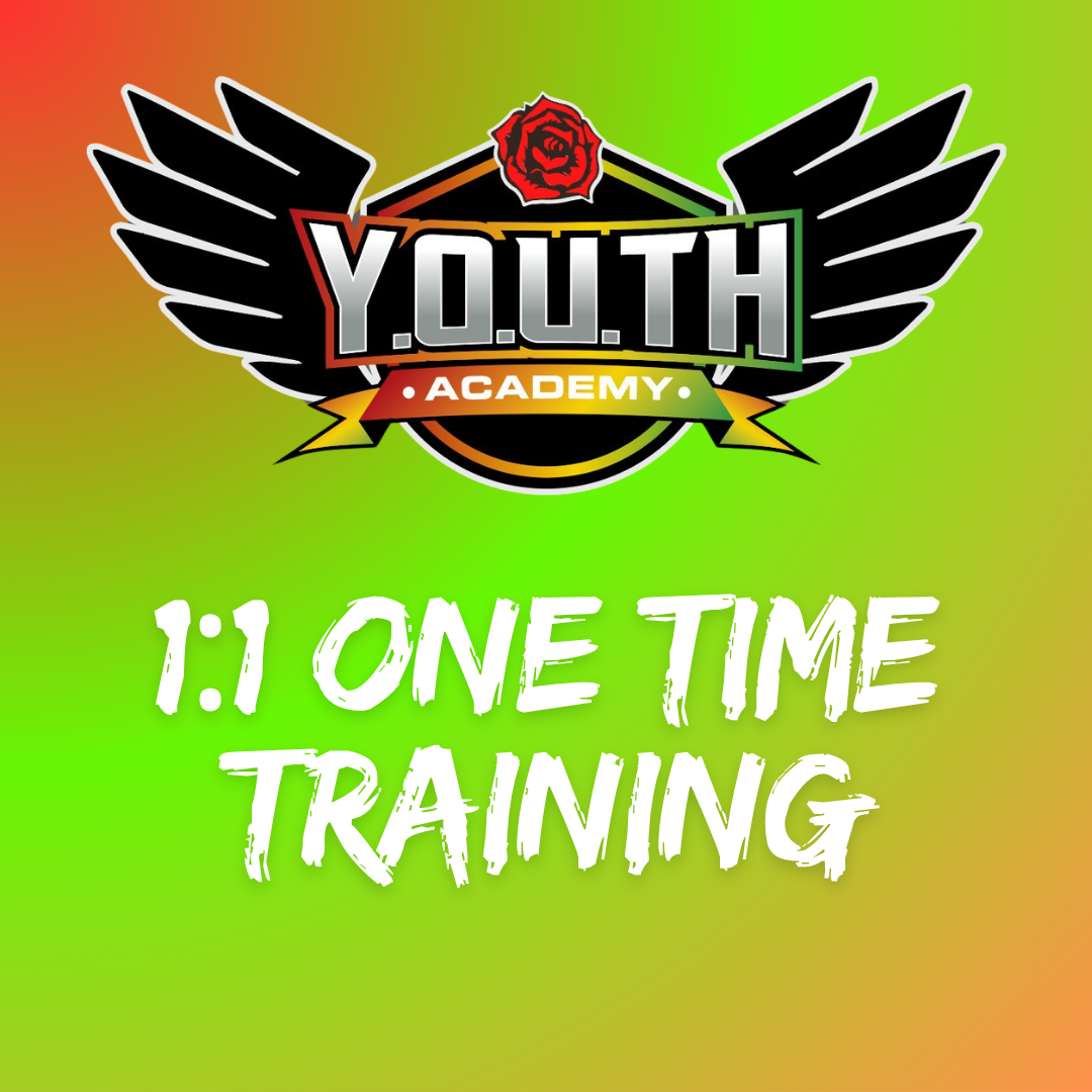 1:1 Training One Session