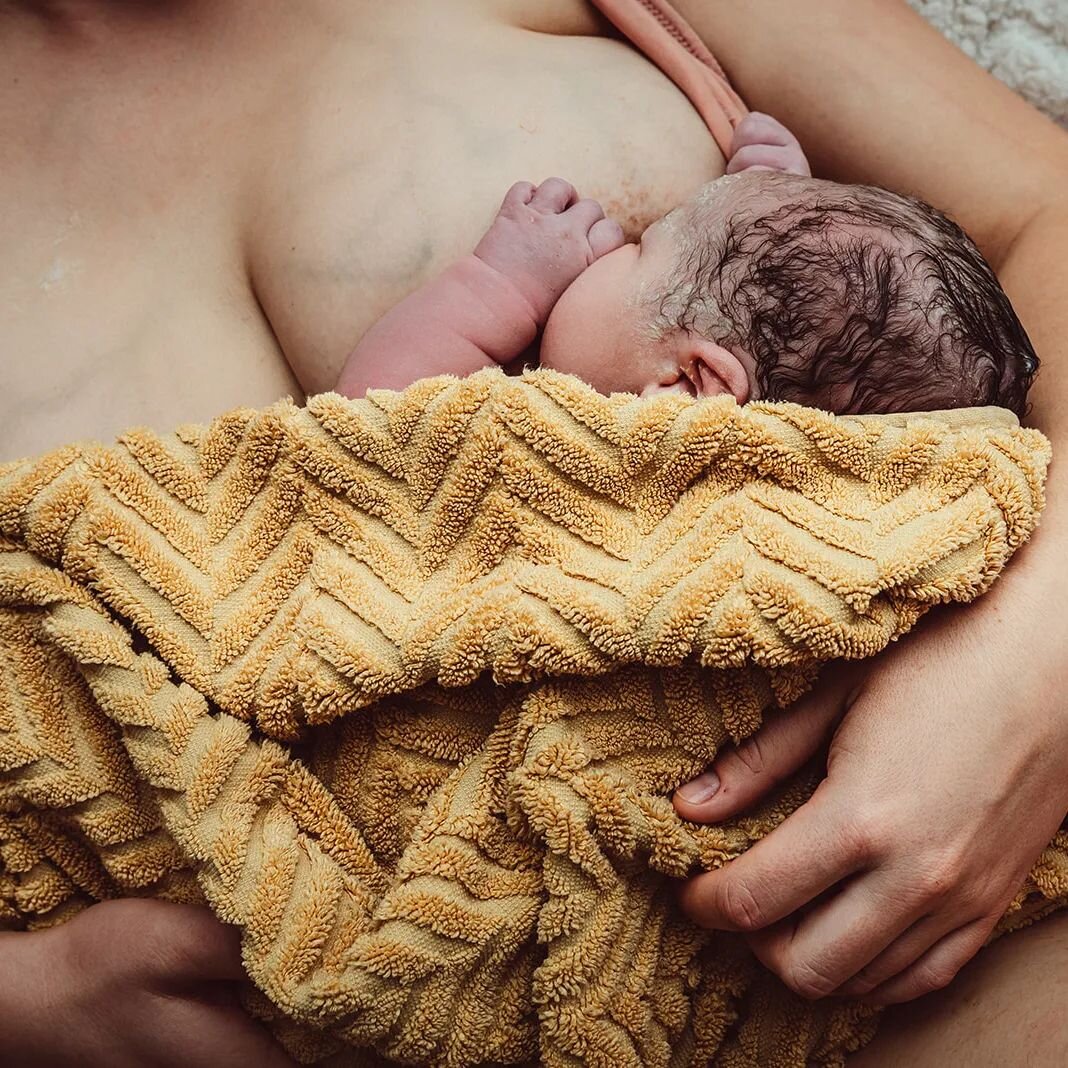 A mother during her first feed. A baby knowingly finding its home. 

#firstfeed #bornathome #motherhood #homebirthmelbourne #privatemidwifemelbourne #melbournedoula