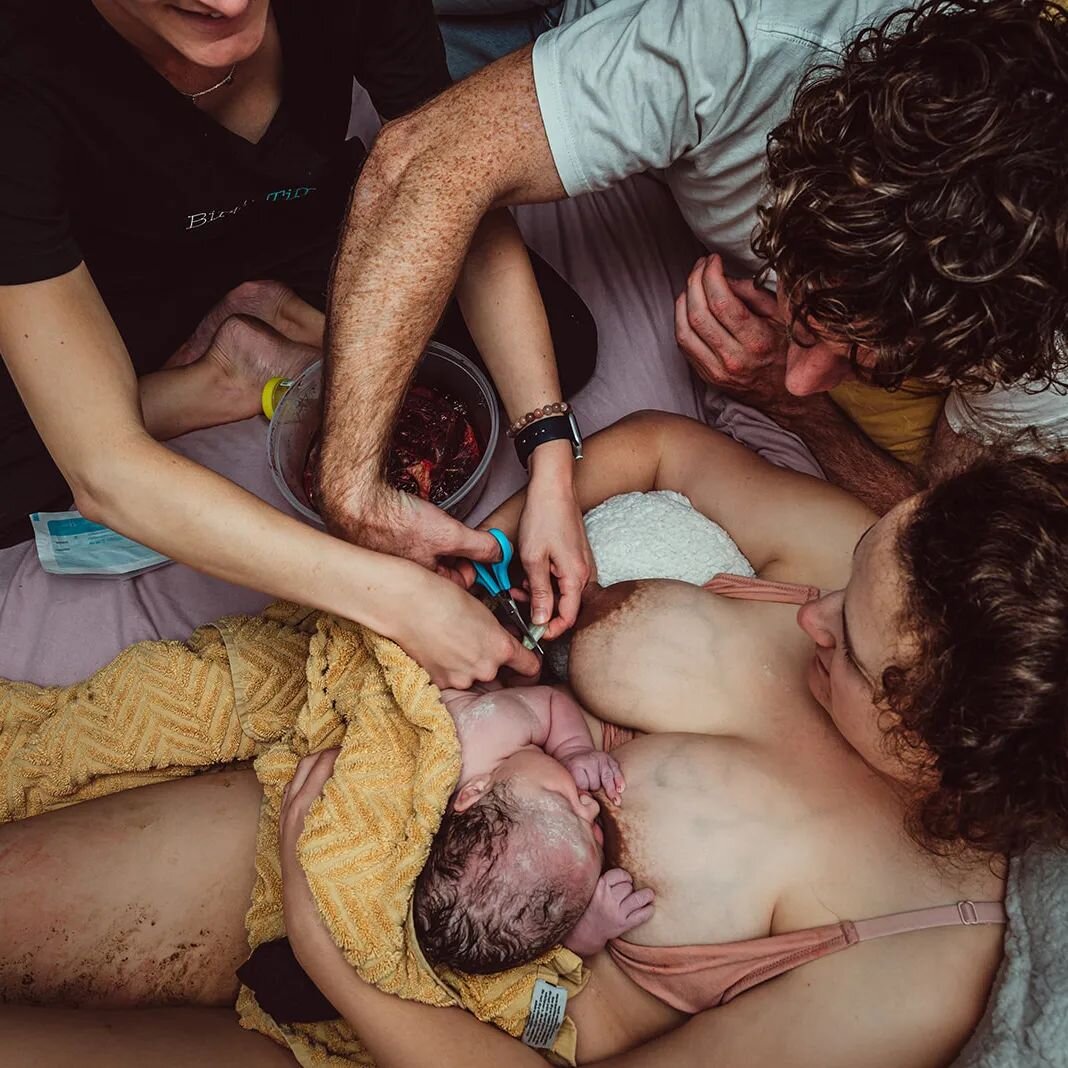 The golden time after birth. All those little firsts captured forever. First hold, first look, first feed. And sometimes the lasts that you can't recreate once they've occurred. 

#umbilicalcord #corememories #birthphotographermelbourne #bornathome #