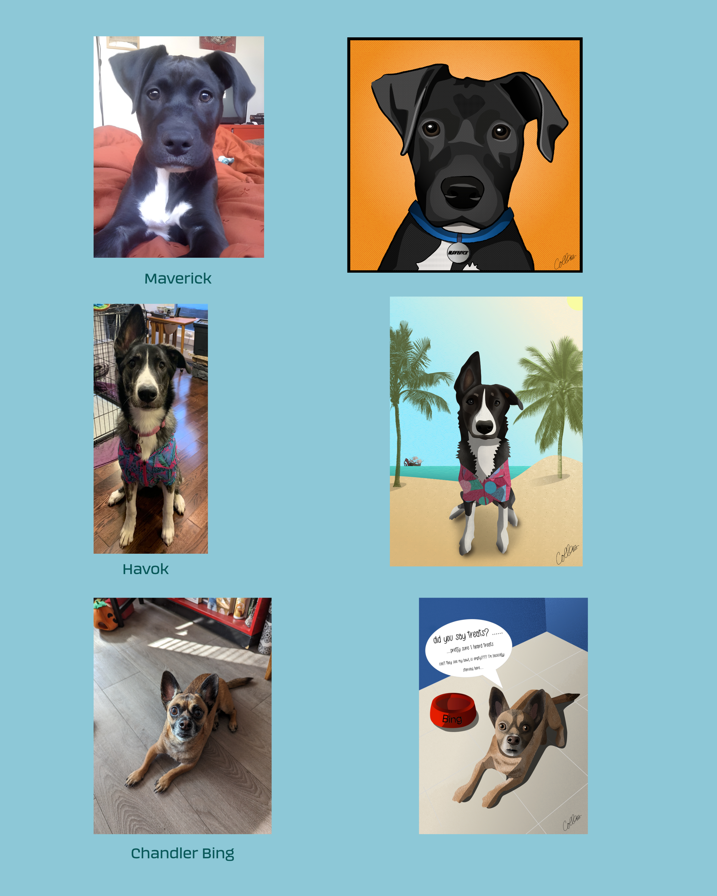 pet portrait 3.png
