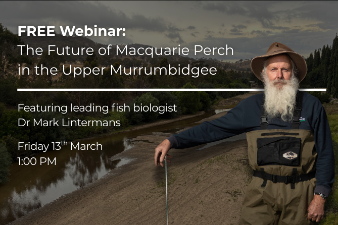 Webinar with Dr Mark Lintermans: Fish need water - The future of Macquarie Perch depends on the flows we choose today