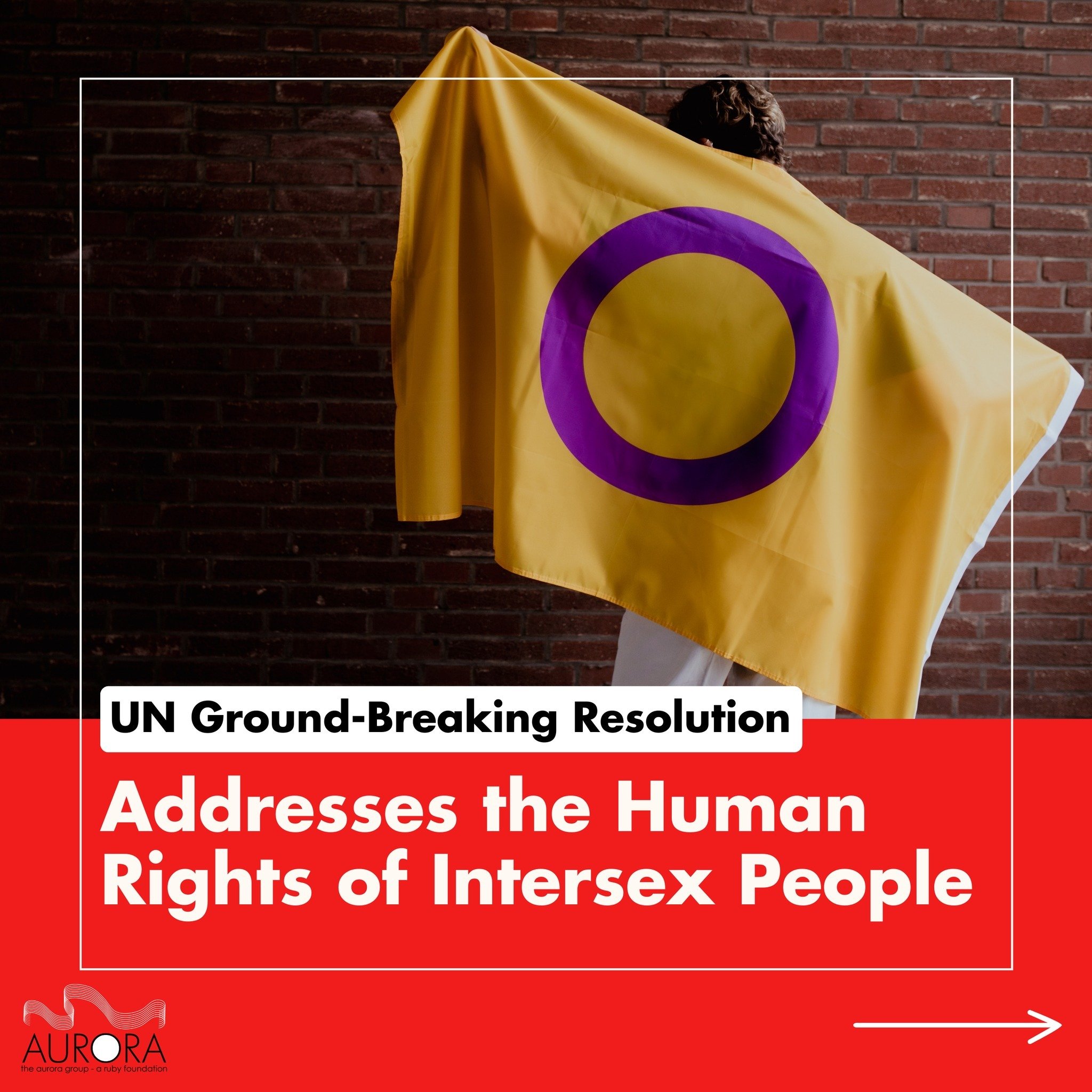 Last week, on the 5th of April, there was a ground-breaking resolution to address the human rights of intersex people, by the United Nations! 

For far too long intersex people have been subject to and suffered from human rights abuse due to their in