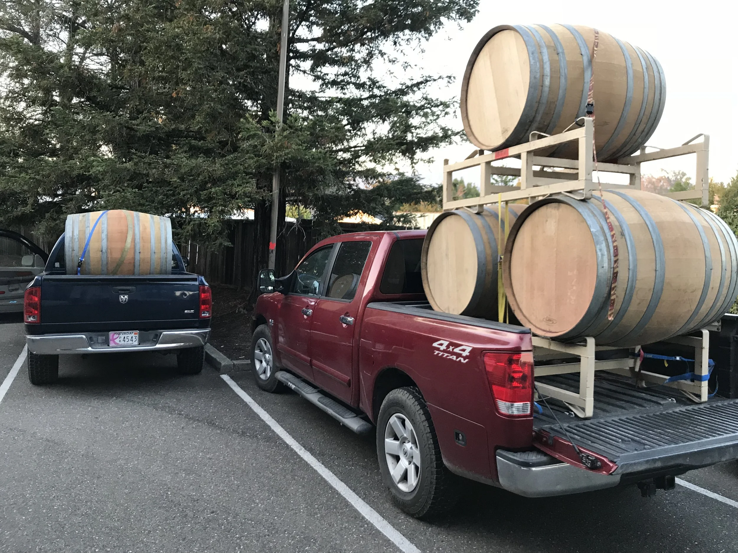 Two pickup trucks parked in a lot with large wooden barrels loaded in the truck beds. The red truck has three barrels on a rack, and the blue truck has one barrel in the bed.
