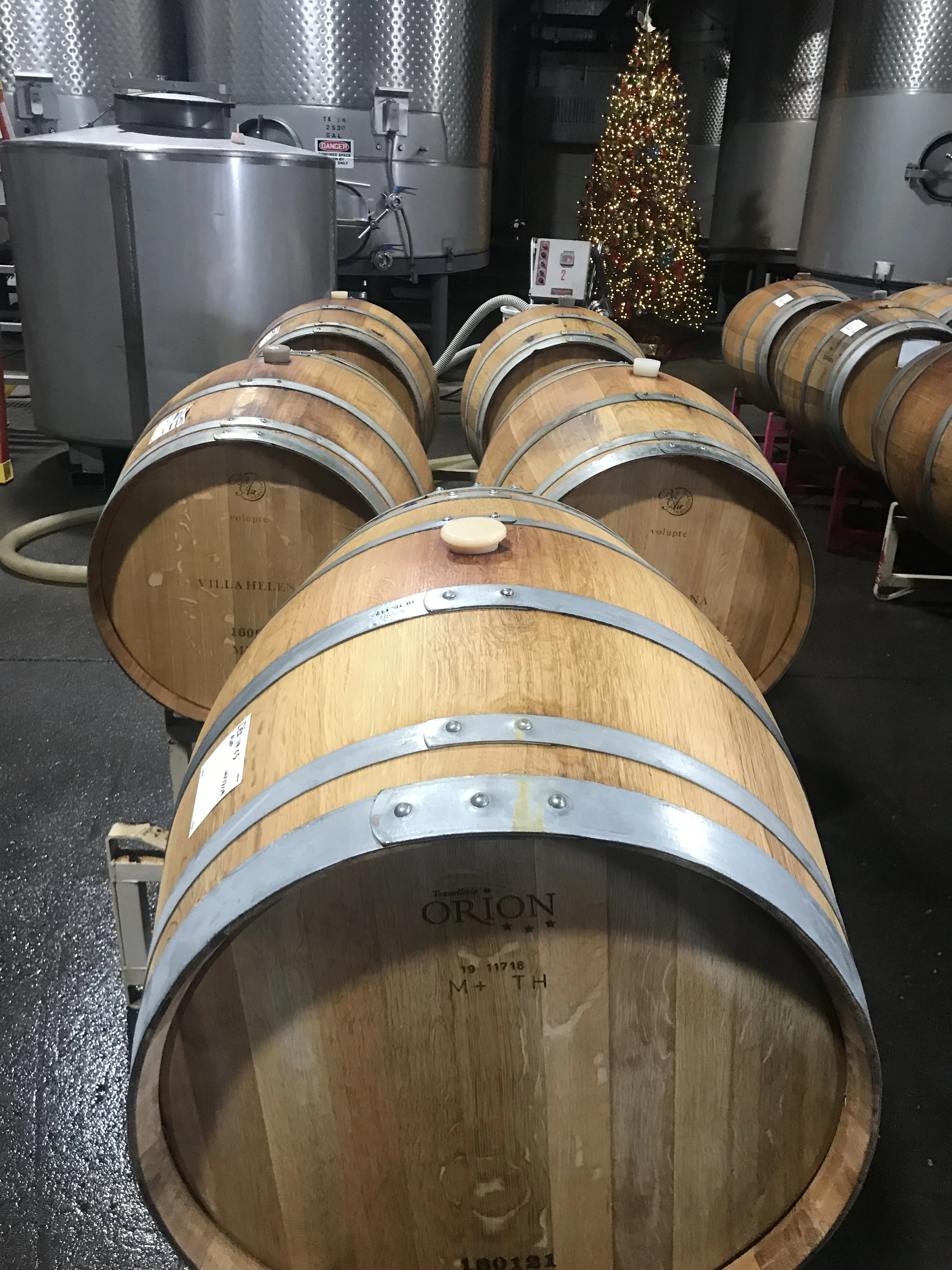 Row of wooden wine barrels in a winery cellar, with a decorated Christmas tree in the background.