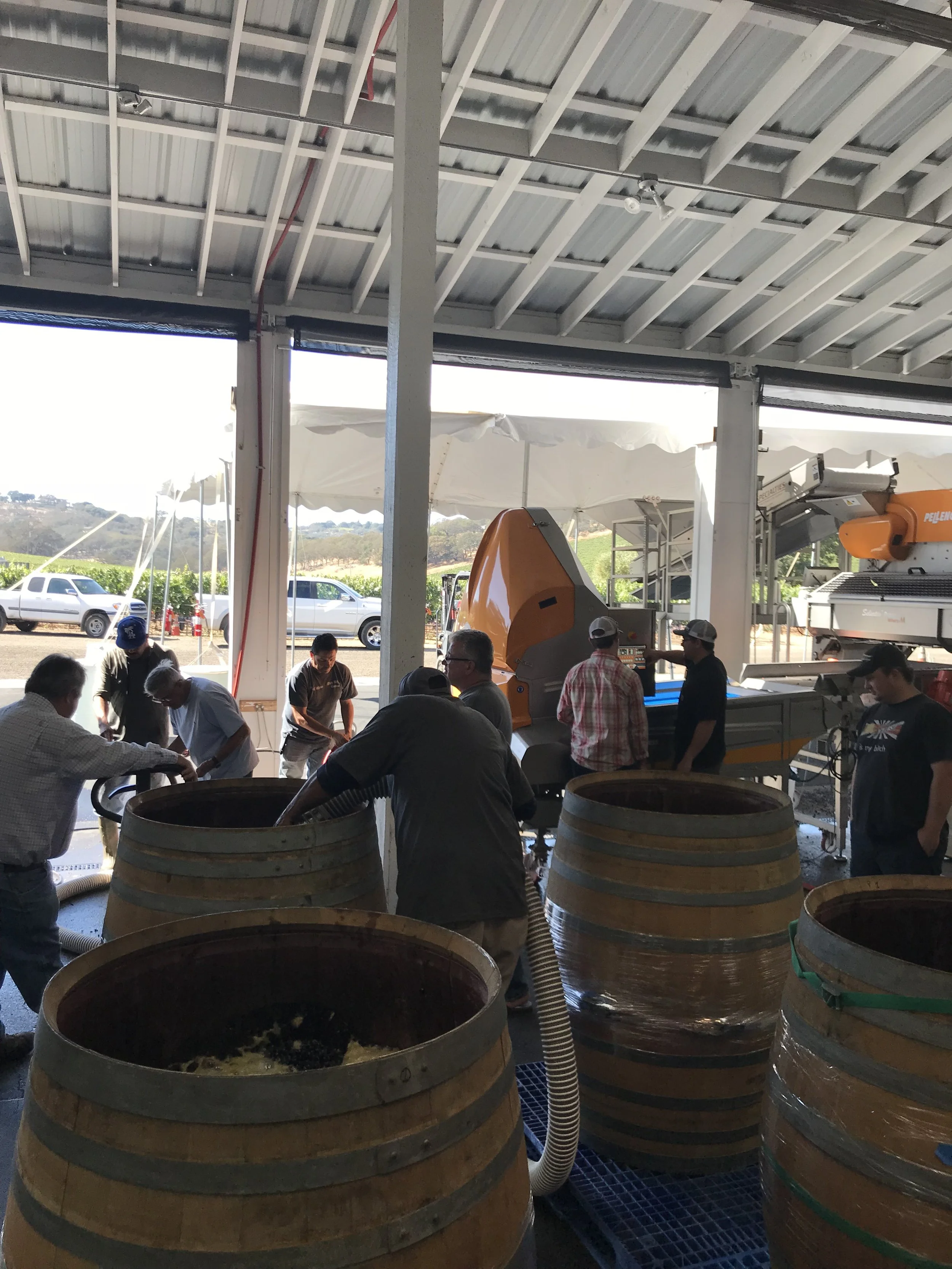 People working in a winery or wine production facility with large wooden fermentation tanks, some machines, and an open side showing a sunny outdoor landscape.