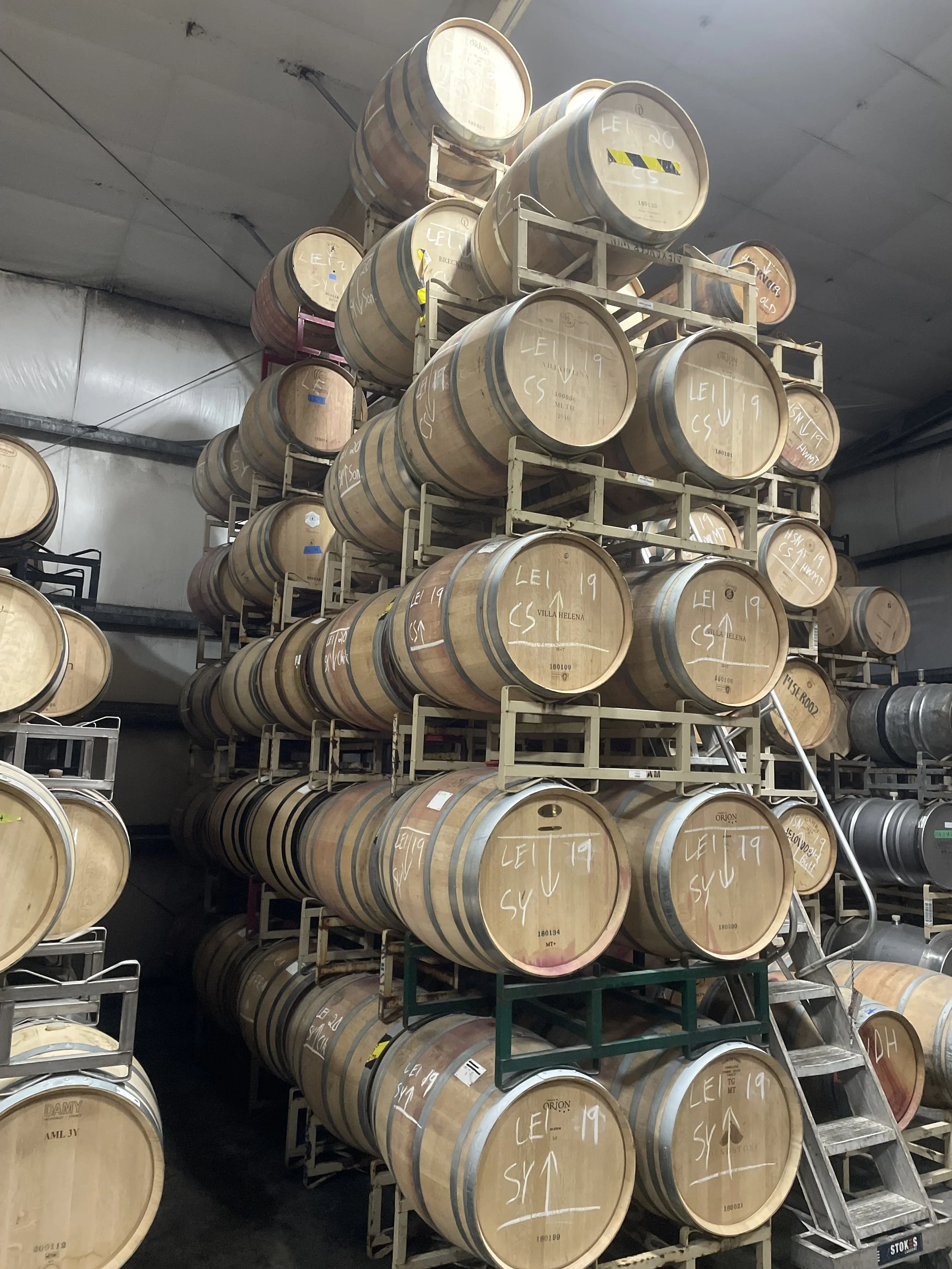Multiple wooden wine barrels stored on racks in a wine cellar.