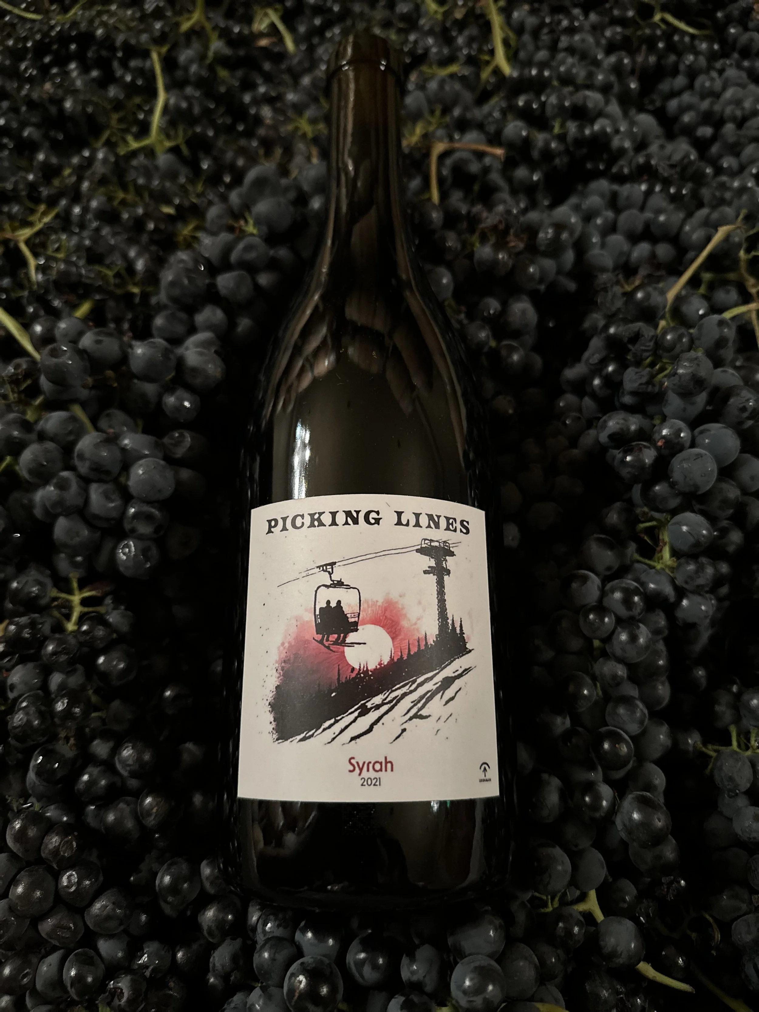 A black wine bottle with a label that reads 'Picking Lines' and features an illustration of a ski lift with a sunset, surrounded by black grapes.