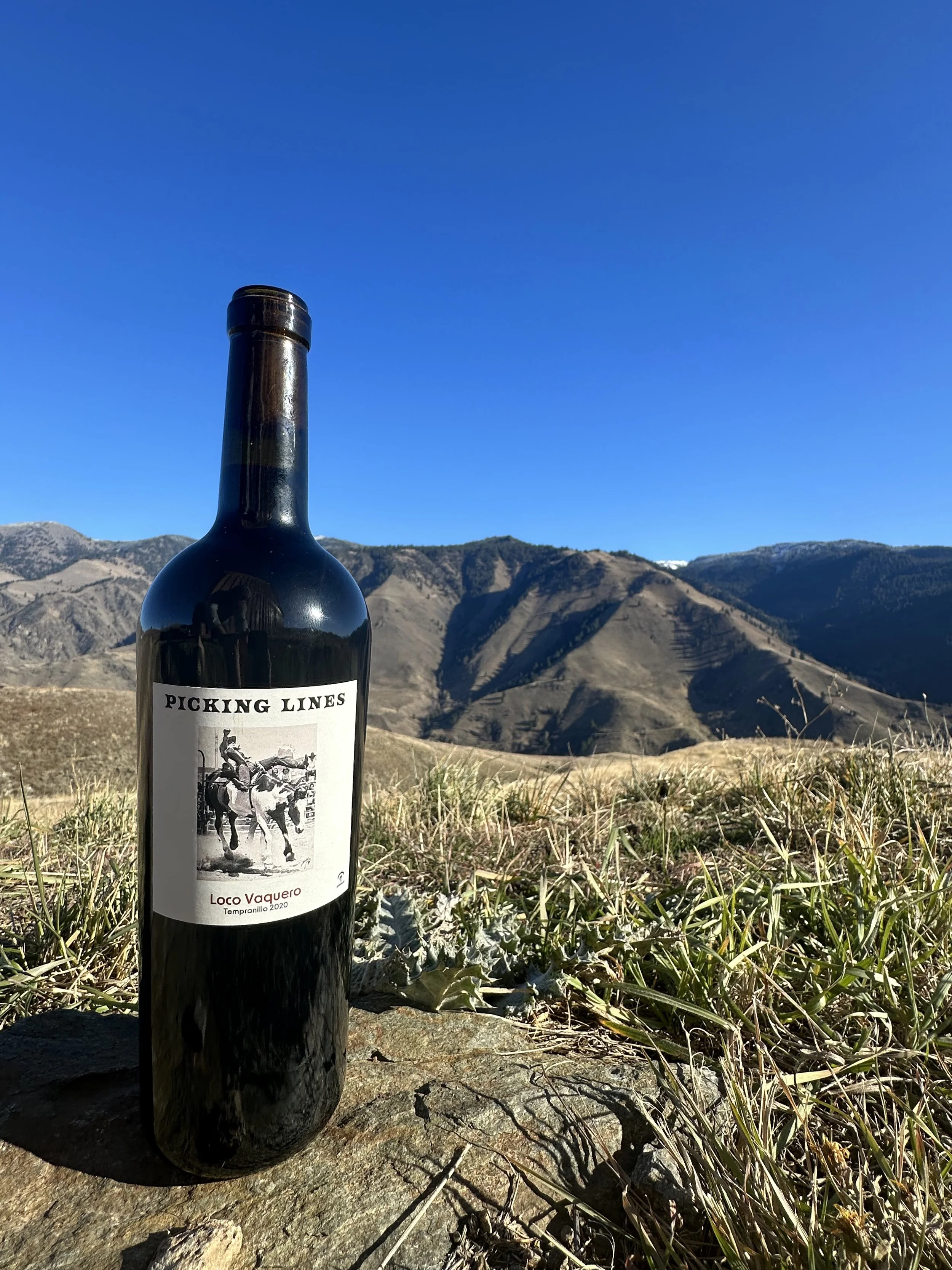 2021 Carneros Syrah — Picking Lines Wine