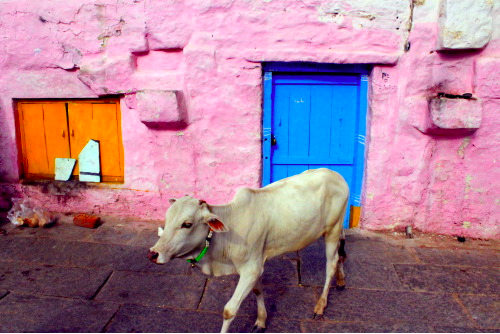 Screen Shot 2022-05-10 at 10.03.17 PM.png