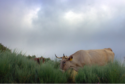 Screen Shot 2022-05-10 at 10.06.21 PM.png