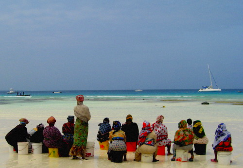 Screen Shot 2022-05-10 at 10.13.20 PM.png