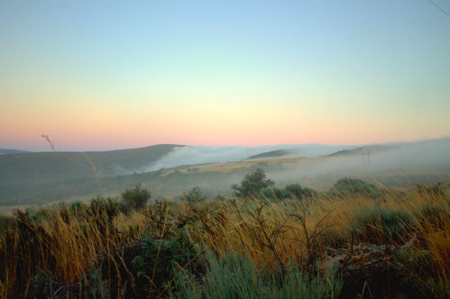 Screen Shot 2022-05-10 at 10.05.59 PM.png