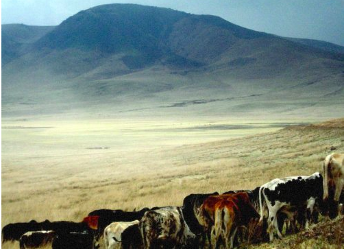 Screen Shot 2022-05-10 at 10.14.31 PM.png