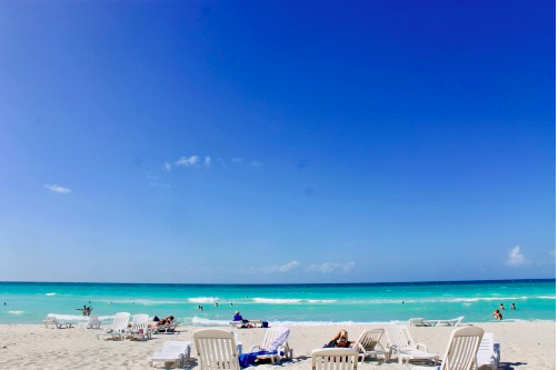 Screen Shot 2022-05-10 at 10.25.07 PM.png