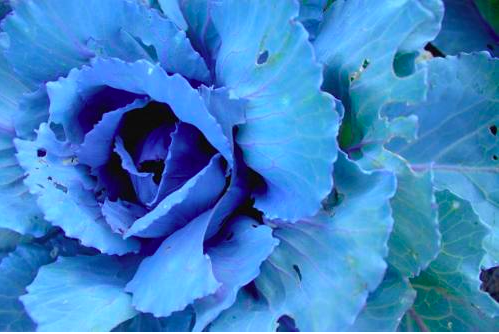 Screen Shot 2022-05-10 at 10.11.56 PM.png