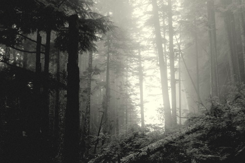 Screen Shot 2022-05-10 at 10.12.17 PM.png