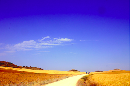 Screen Shot 2022-05-10 at 10.05.34 PM.png