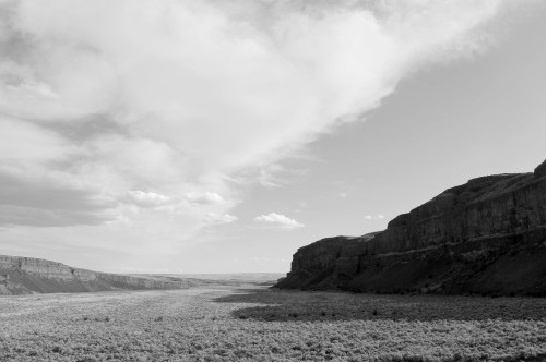 Screen Shot 2022-05-10 at 10.12.32 PM.png