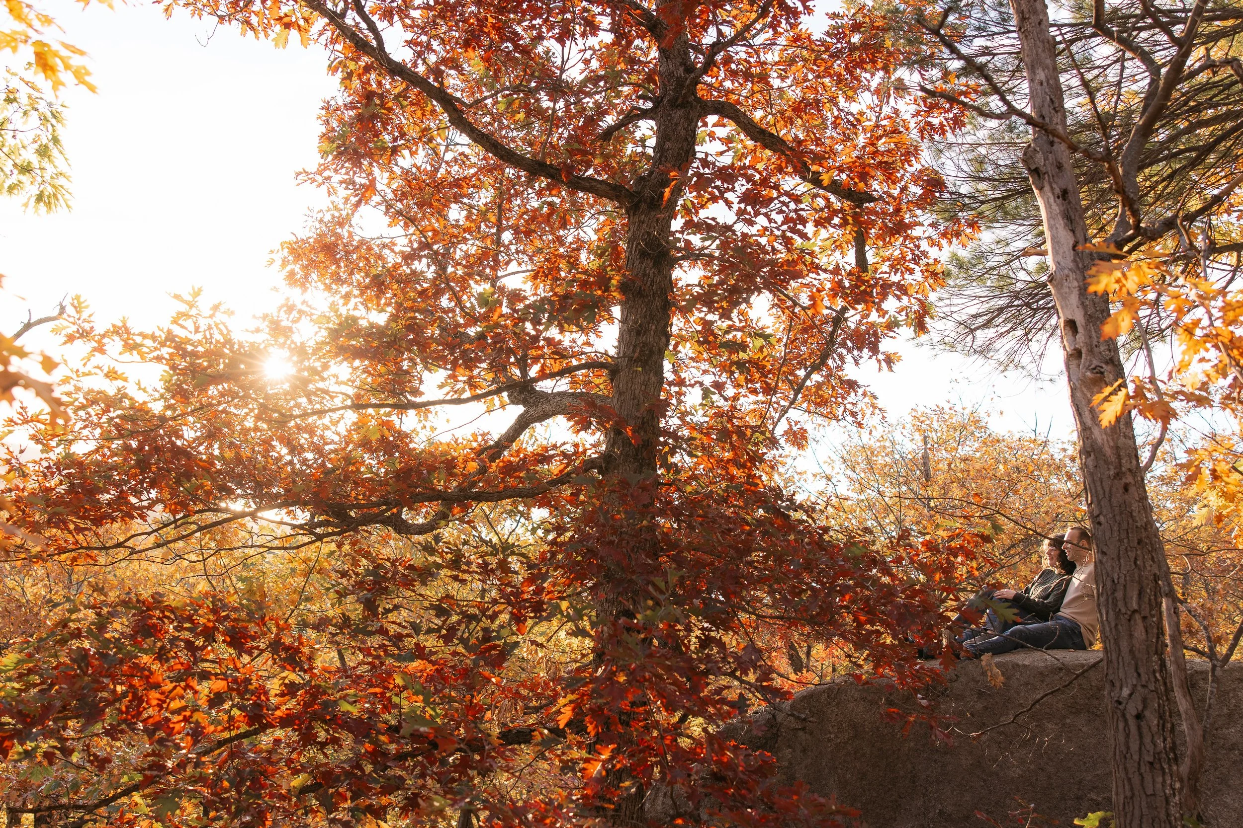 YourStoryCreativeCo-BenandJordynEngagement2025-37 copy.jpg