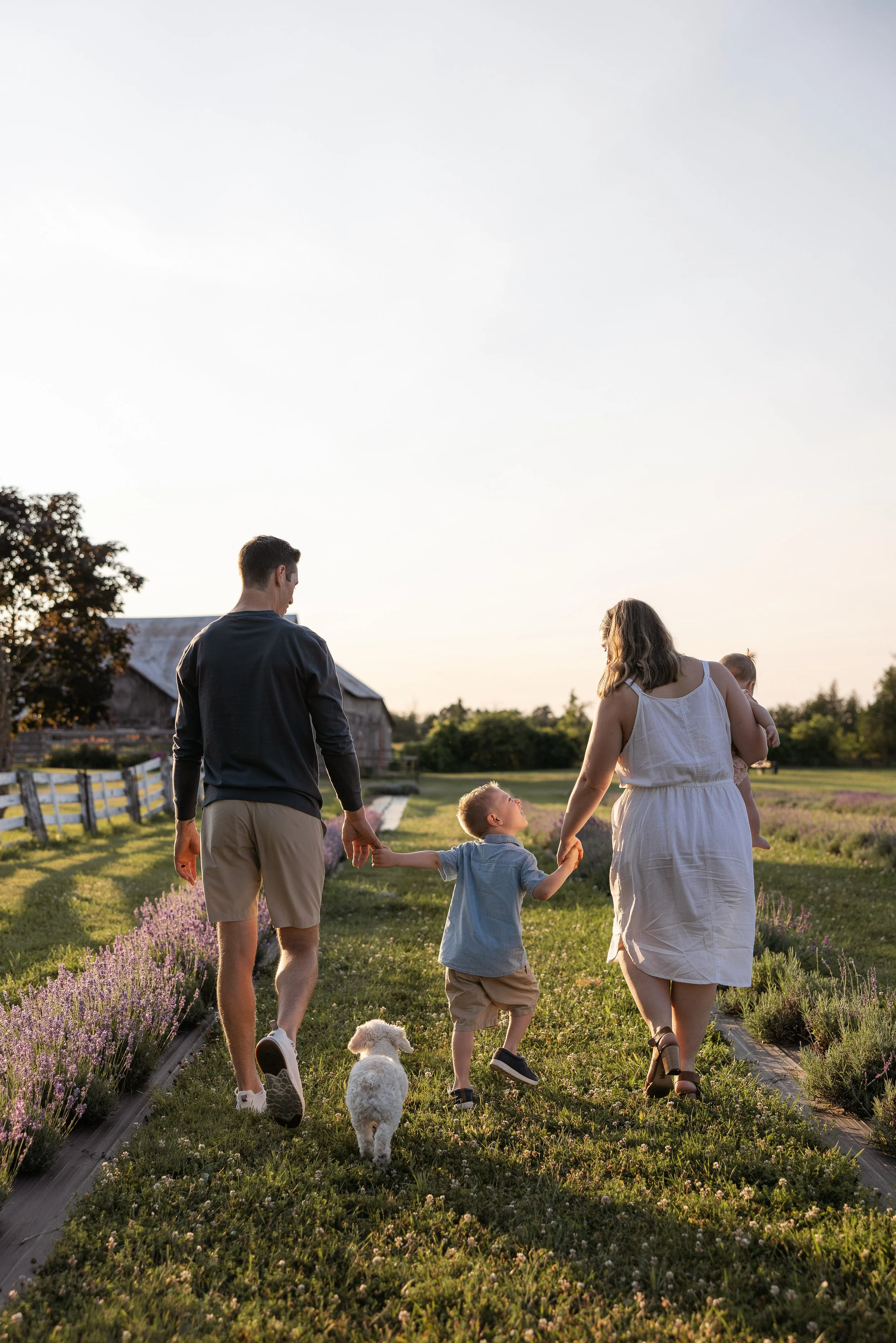 a family walking through a lavender field with a farm house in the background during a ottawa mini session photoshoot