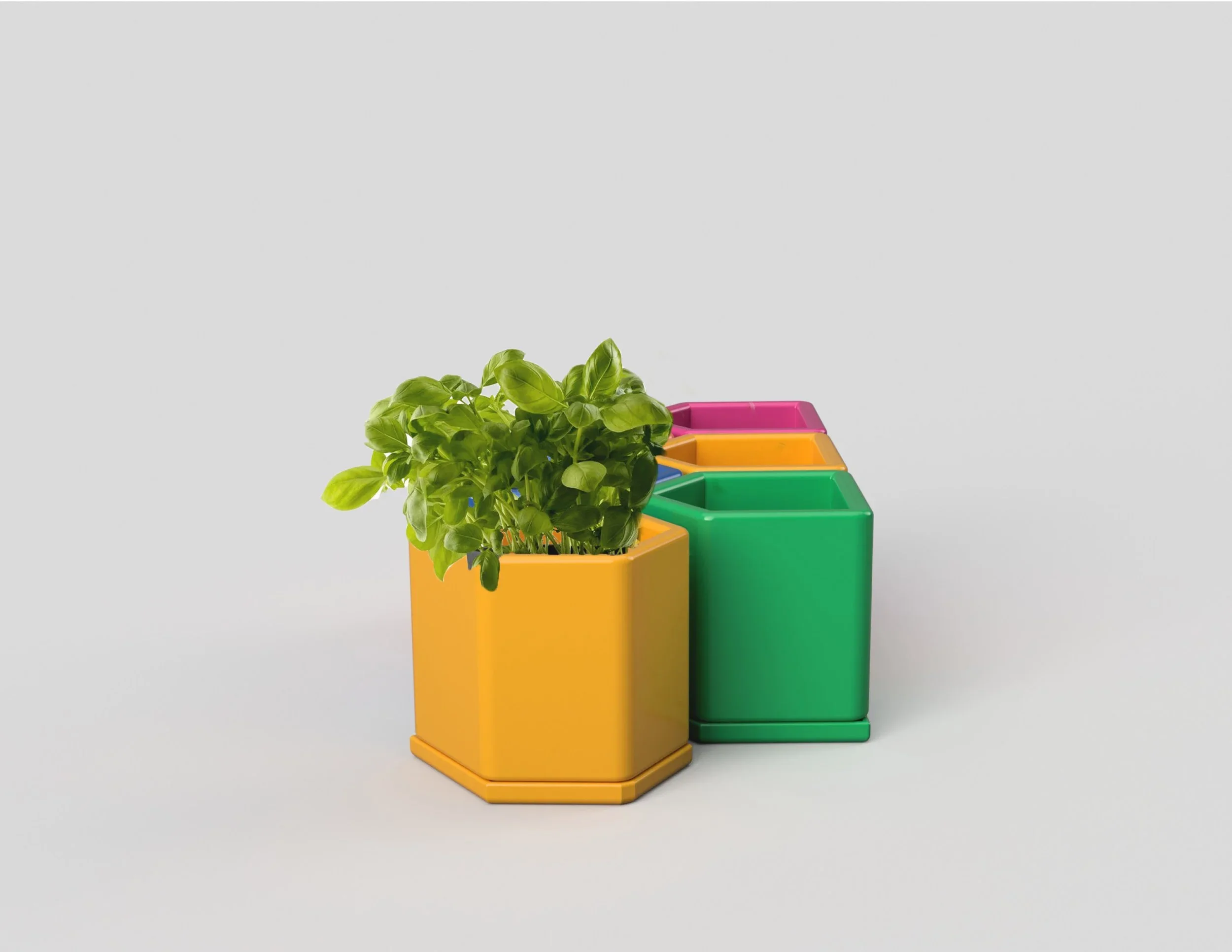 Interactive Planting