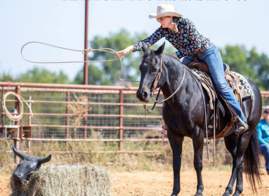 Heartland Ranch Horse Schooling Show