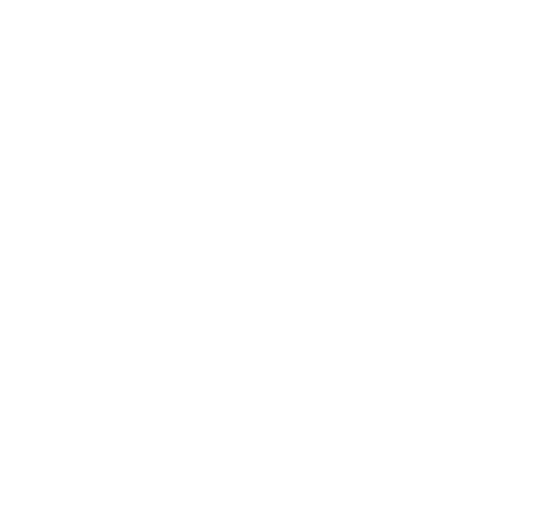 City Toyota Logo (back).png