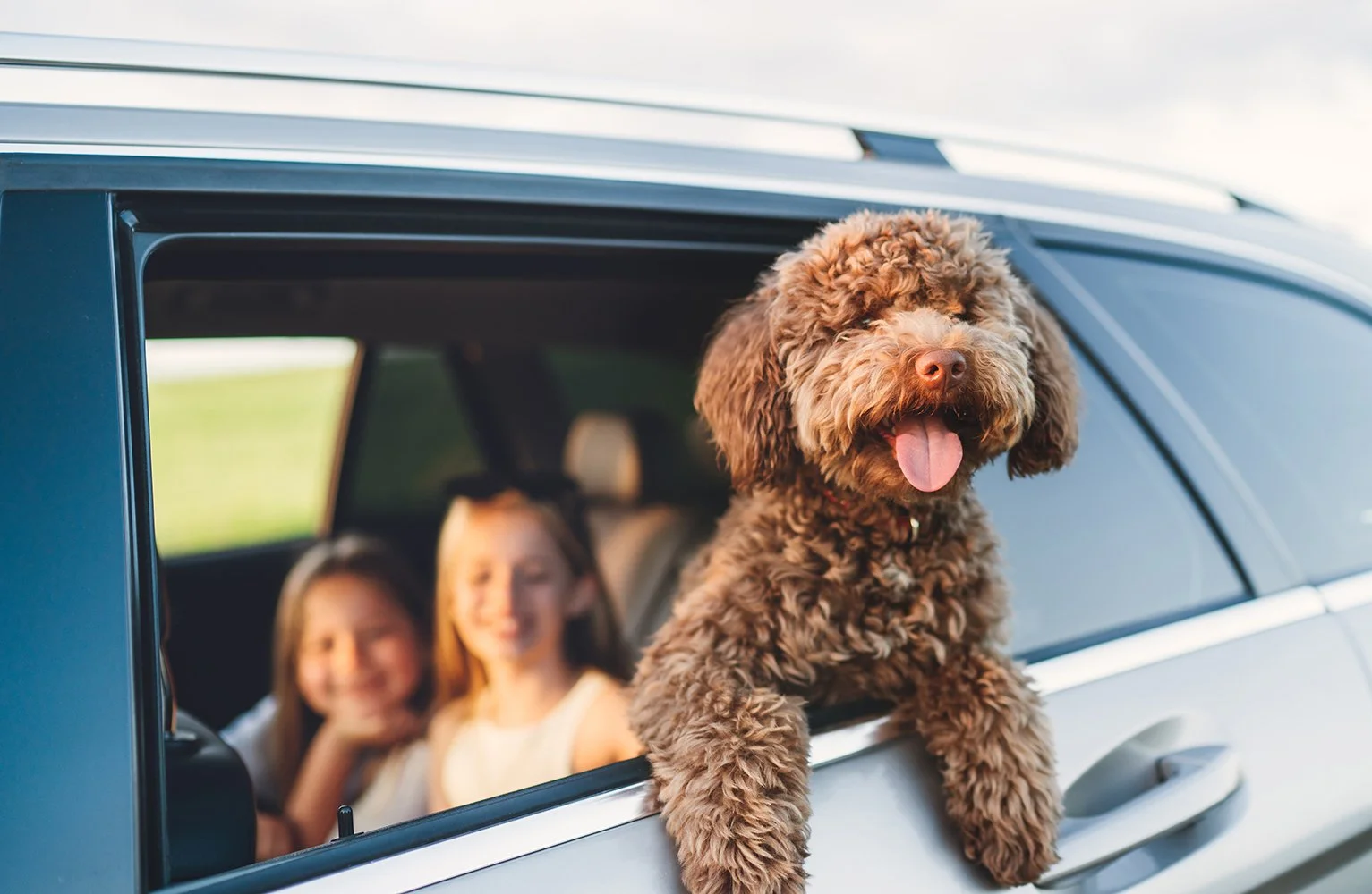 Brown curly-haired dog leaning out of a car window with two smiling girls inside the vehicle in a grassy outdoor setting.