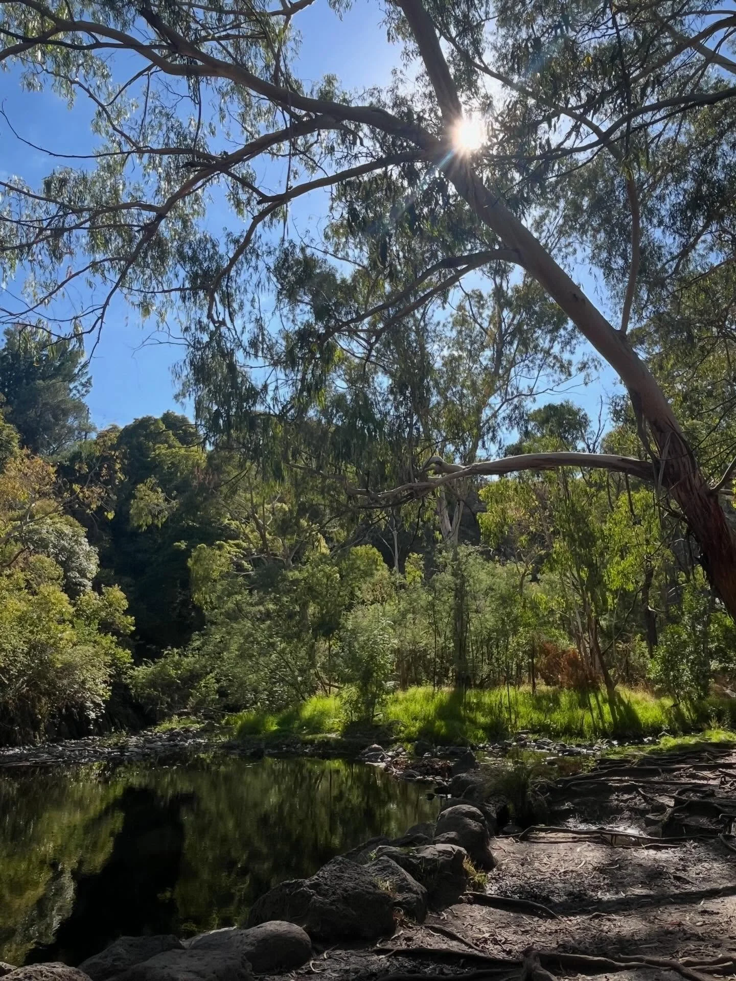 I&rsquo;m walking whilst listening to Big Magic by Elizabeth Gilbert. It&rsquo;s a book I seek when I need courage. Creativity is scary. It&rsquo;s demanding to be made but also stubborn in its vision. Walking amongst trees I feel connected and calm.