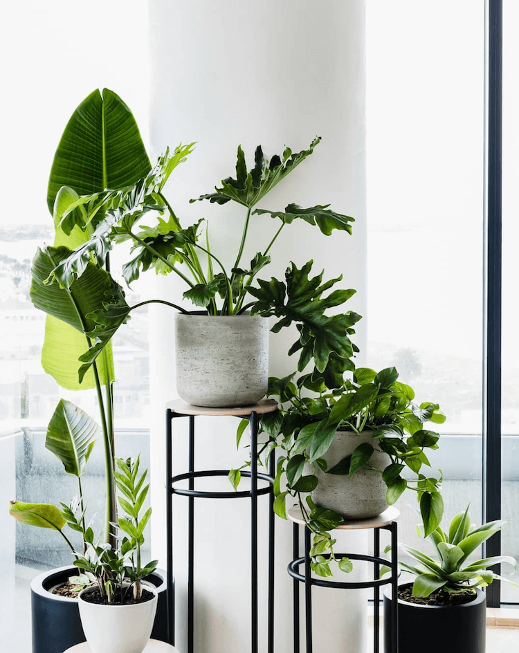 Creating an Entrance — Hausfits Designs