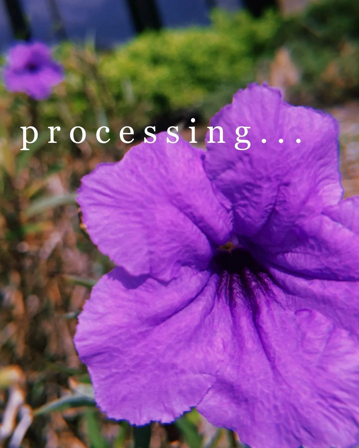 more to come, stay in the loop!
&bull;
&bull;
&bull;
#processing #moretocome #stayintheloop #intheworks #movement #exploration #online #classes #healing #body #mind #heart #awareness #meditation #flower #internal #external #expression #creativity #co