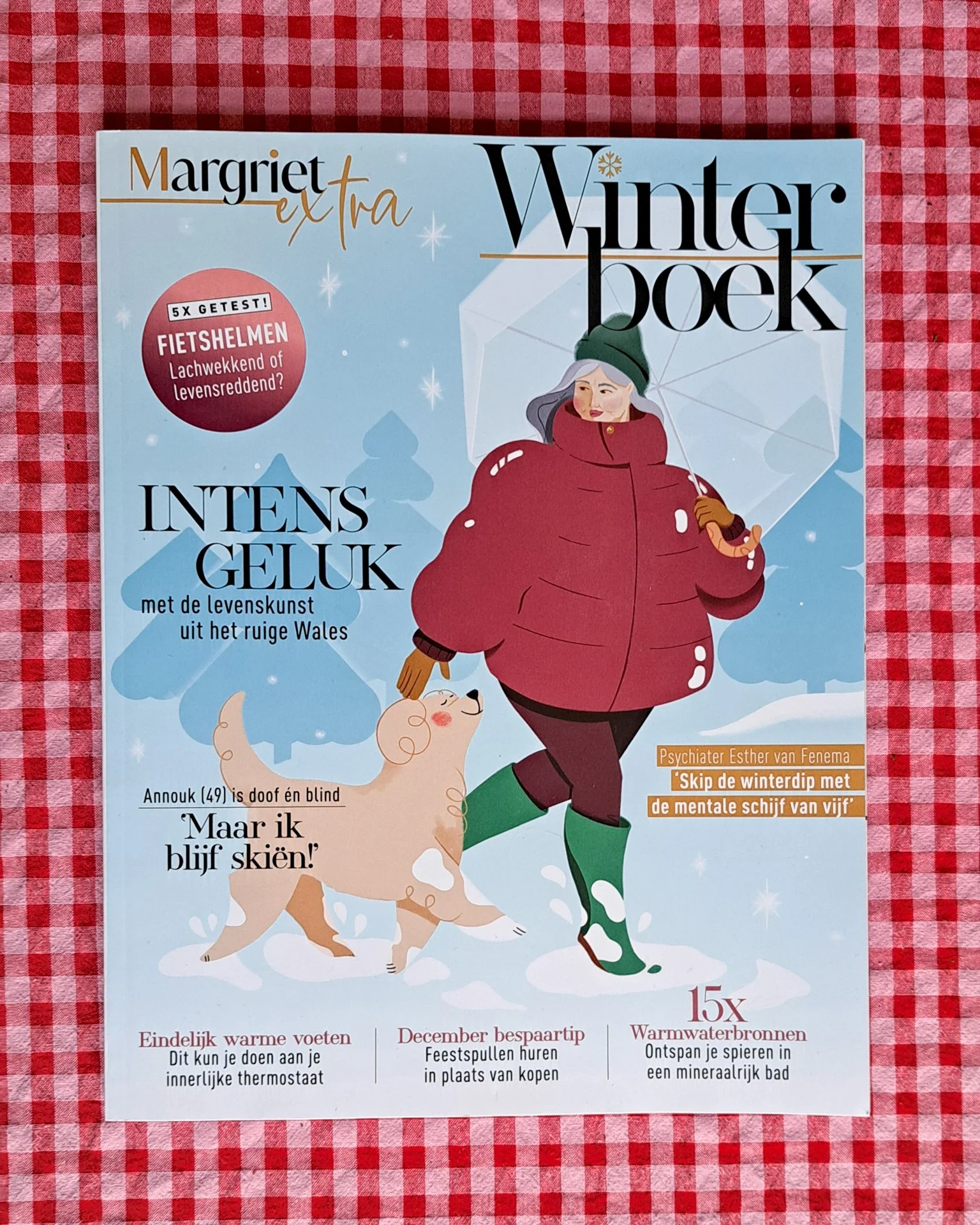 December 2025: My illustration ended up on the cover of Margriet Winterboek! 
