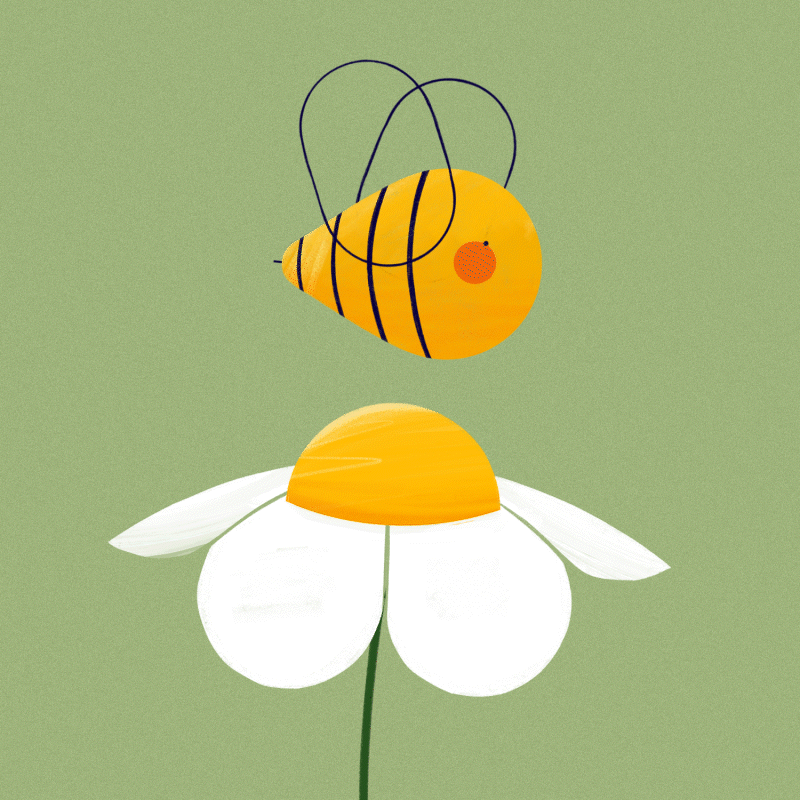 Animated GIF collection