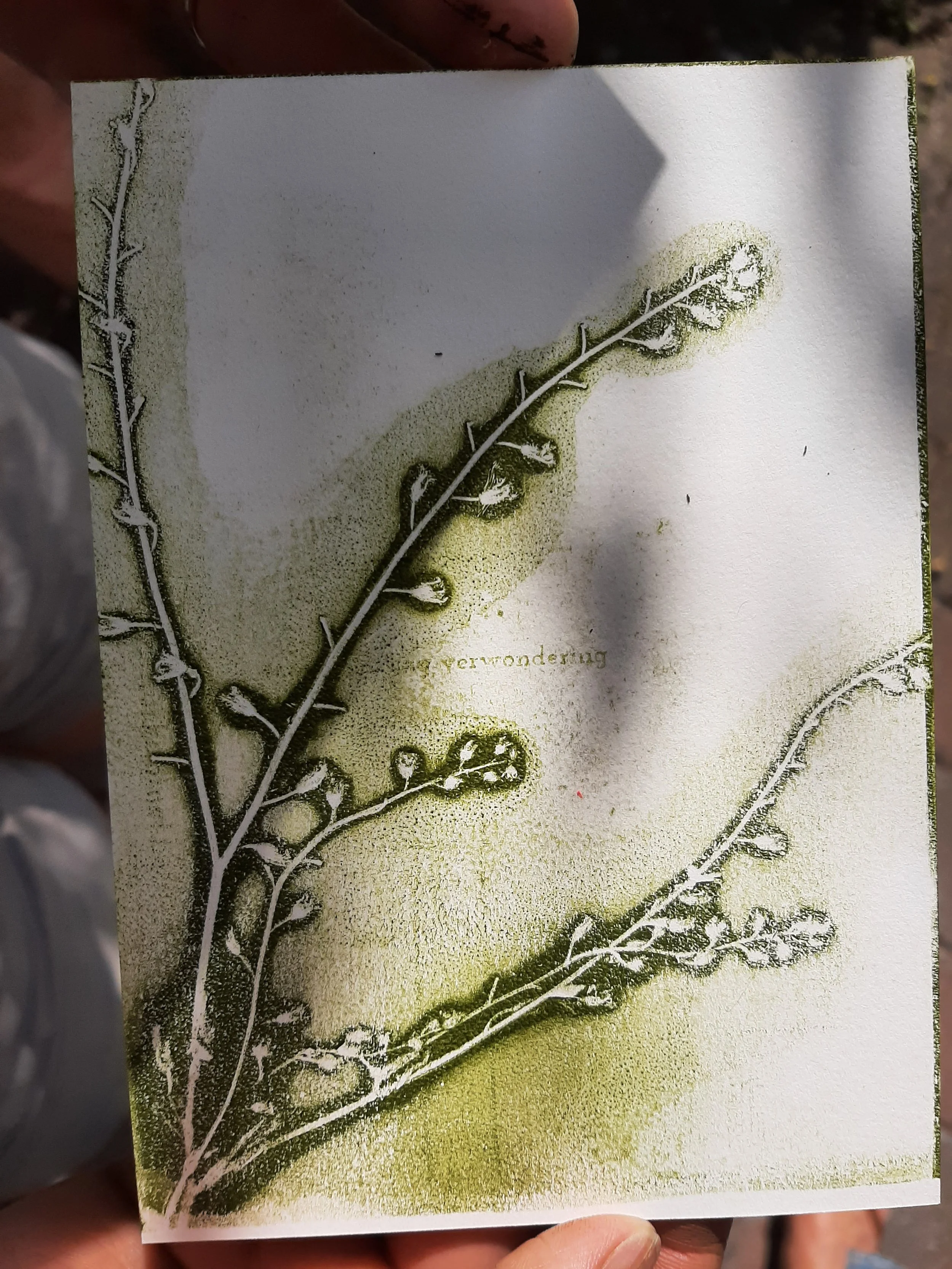 botanisch printen met de gelli plate na een wildplukwandeling